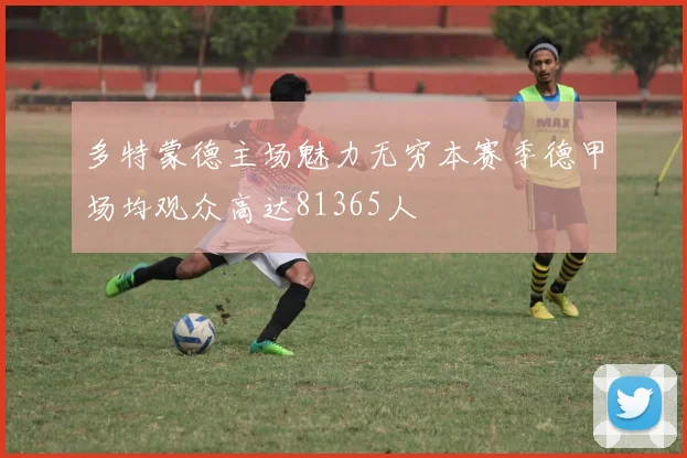 多特蒙德主场魅力无穷本赛季德甲场均观众高达81365人